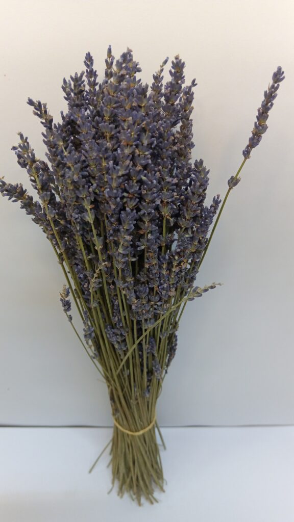 Lavanda pom